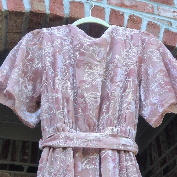 Baltic Born | Uma Velvet Maxi Pink Floral Dress - Picture 6 of 11